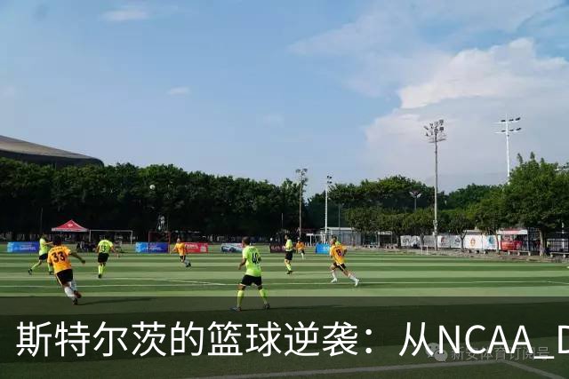 斯特尔茨的篮球逆袭：从NCAA D2到NBA的奋斗之路